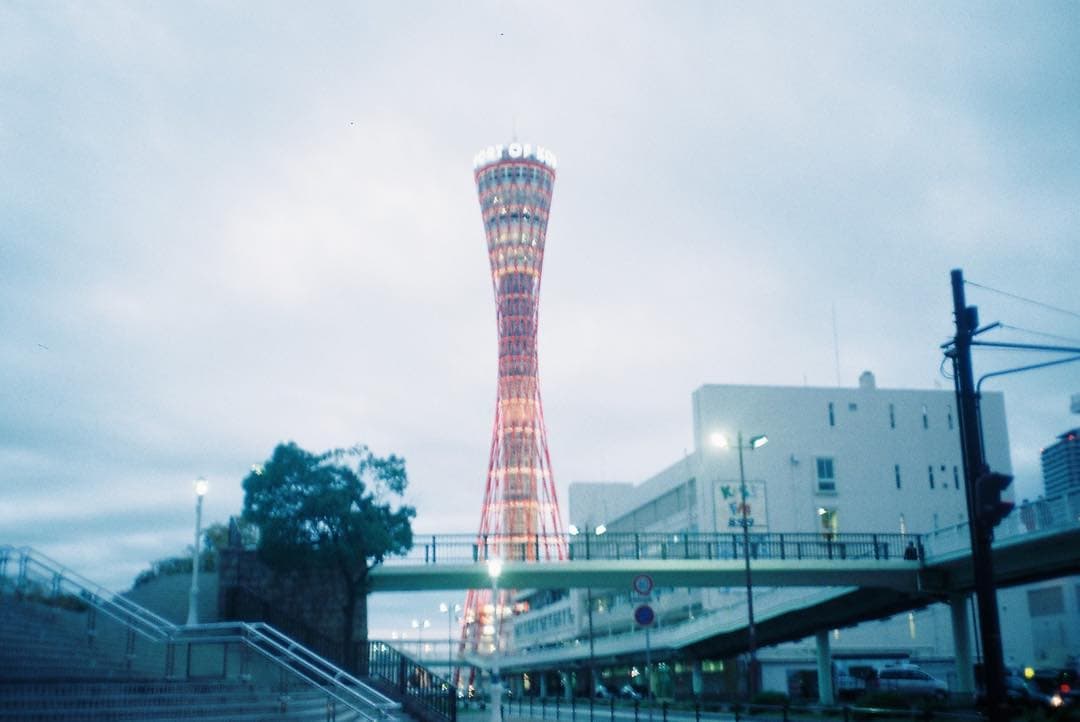 帰ってきてます兵庫、西宮、1日だけやけど